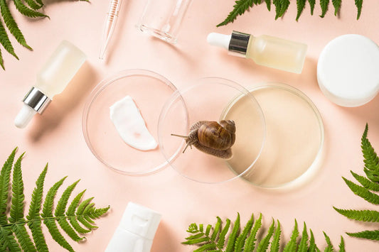Snail in petri dish with skincare products