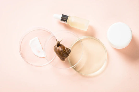 Melc langa ser cosmetic si crema in vase Petri